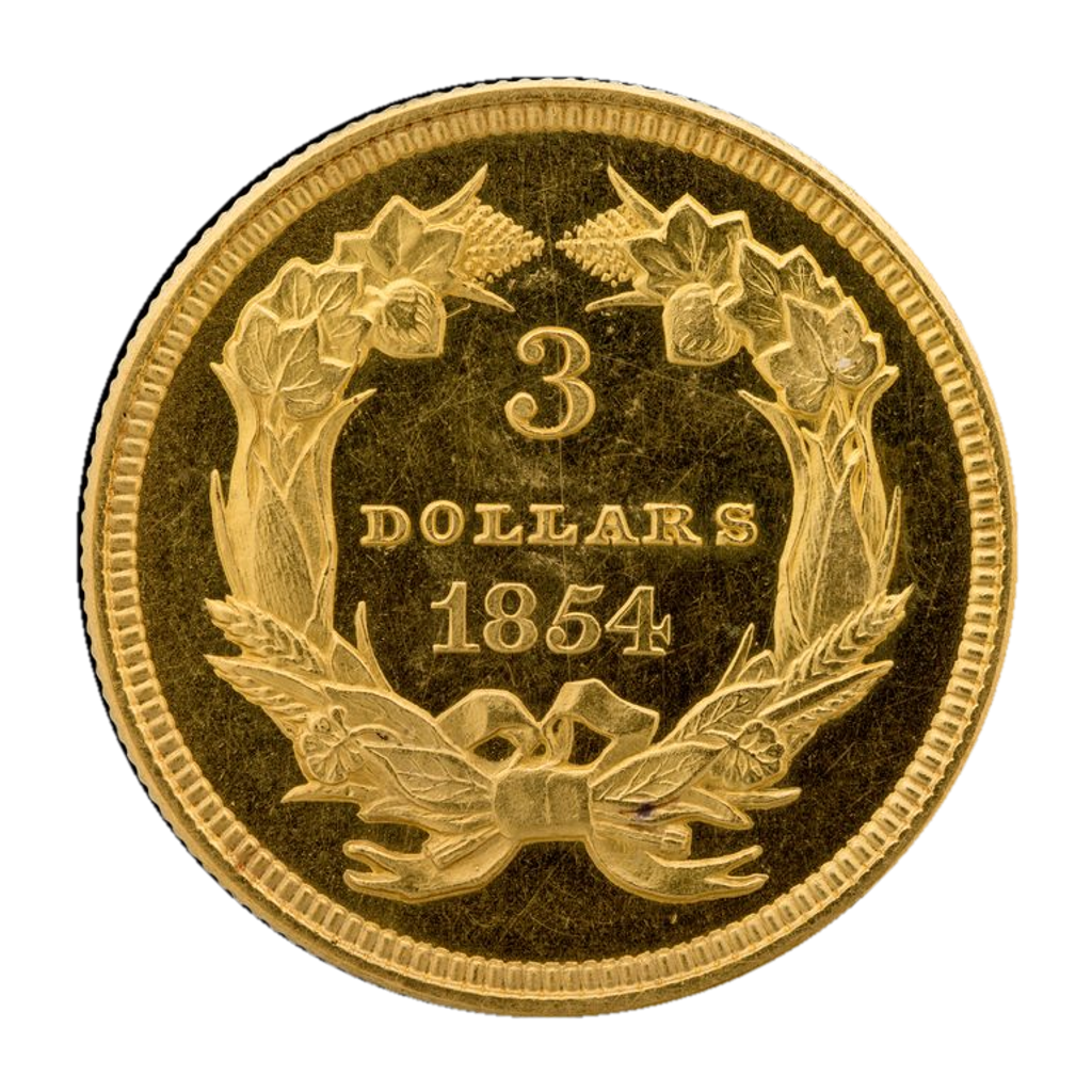 3 Dollars "Indian Princess Head" reverse