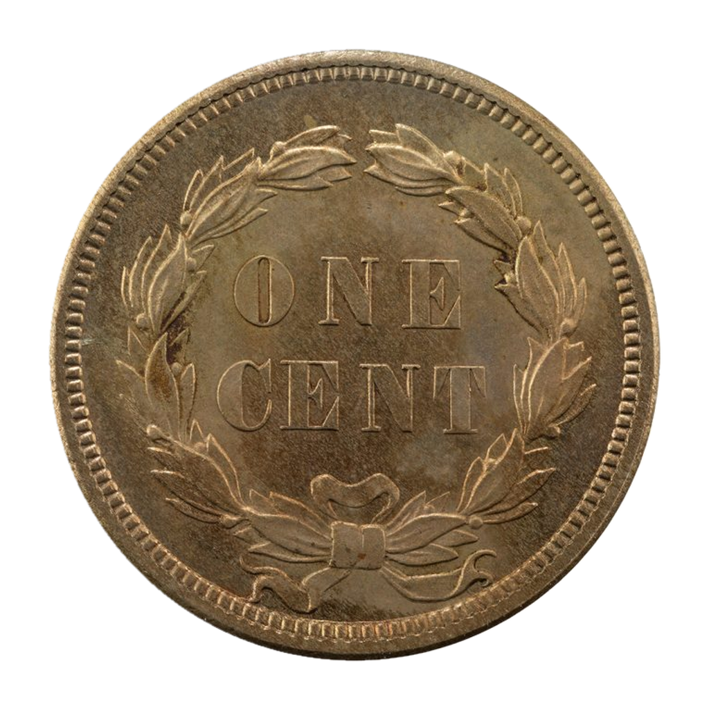 1 Dollar "Large Indian Head" reverse