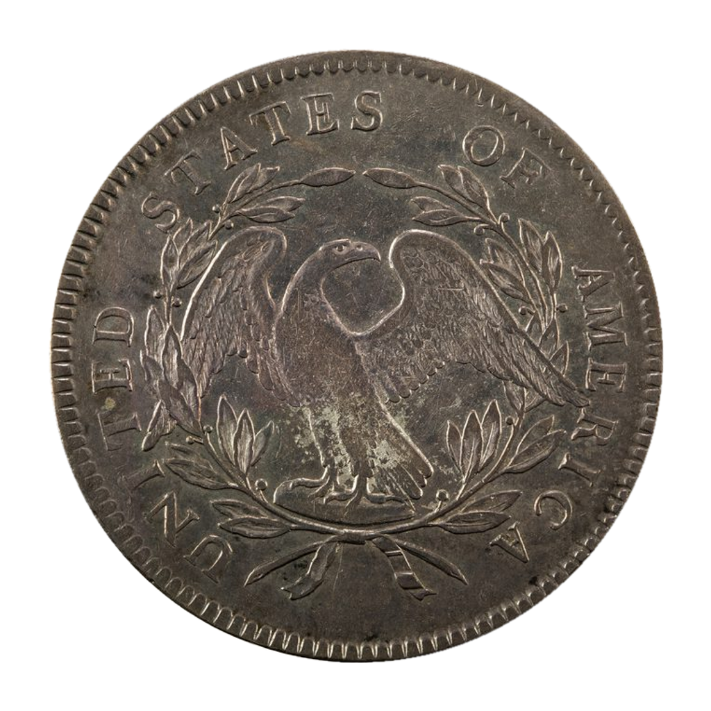 1 Dollar "Flowing Hair Dollar" reverse